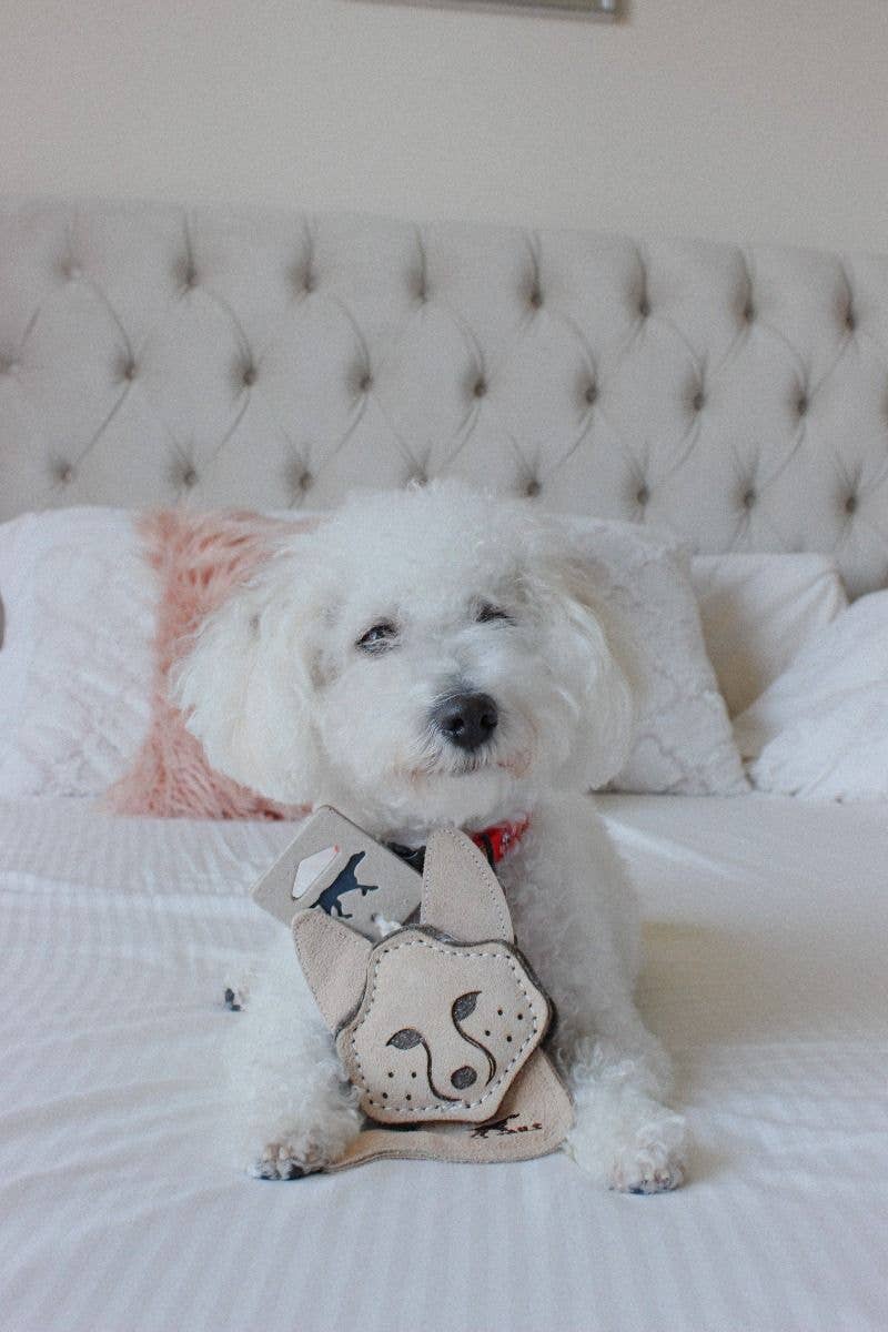 Tall Tails Natural Leather & Wool Fox Toy - 4"