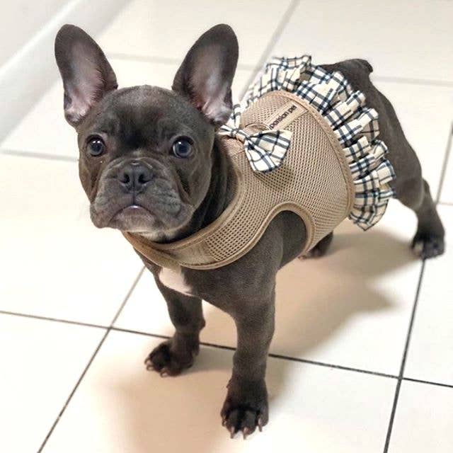 Harness Dress Khaki Plaid – Functional Dog Harness
