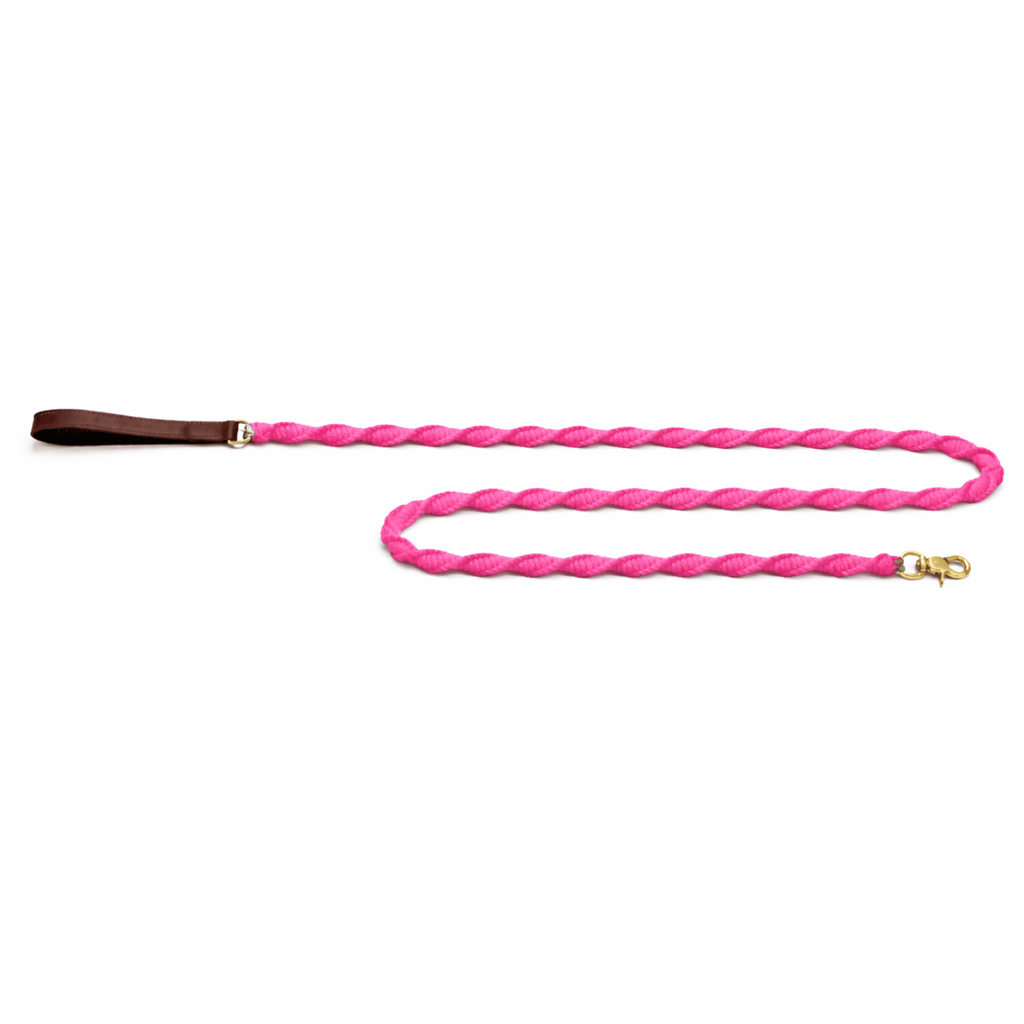 Seaside Dog Leash
