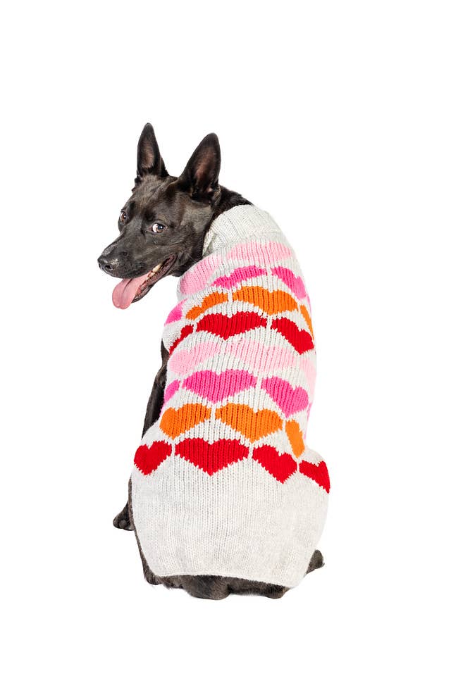 Puppy Love Knit Dog Sweater