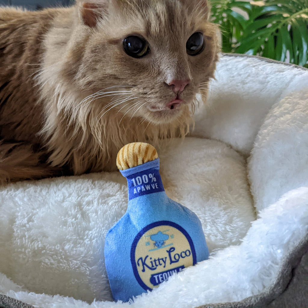 Kitty Loco Tequila Cat Toy