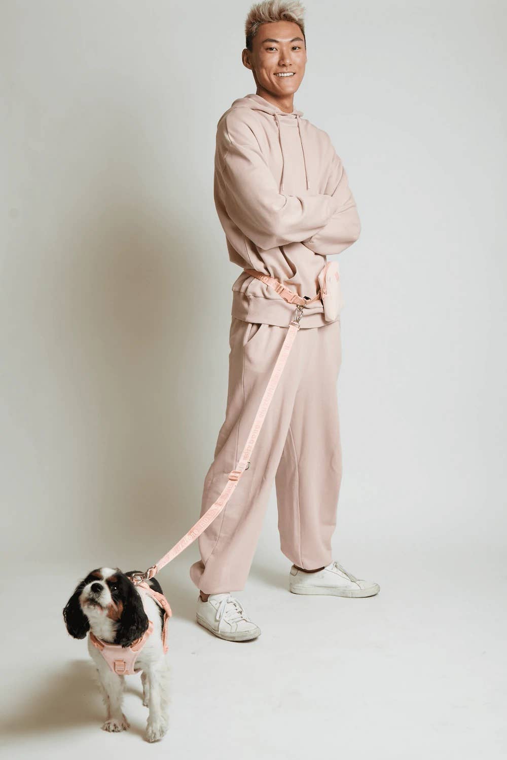 GO! With Ease Hands-Free Leash for Dogs