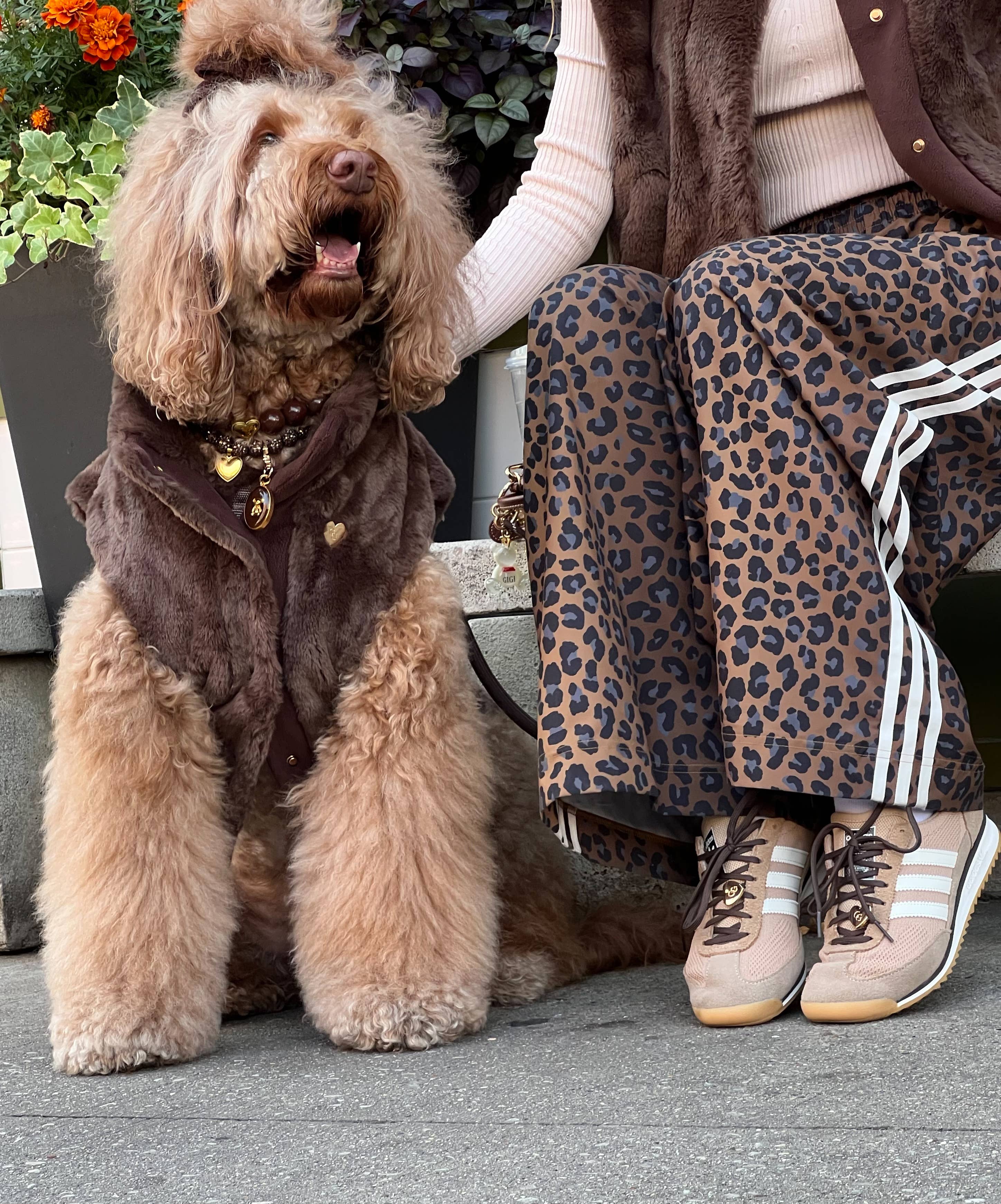 Furlowe Dog Vest - Mocha