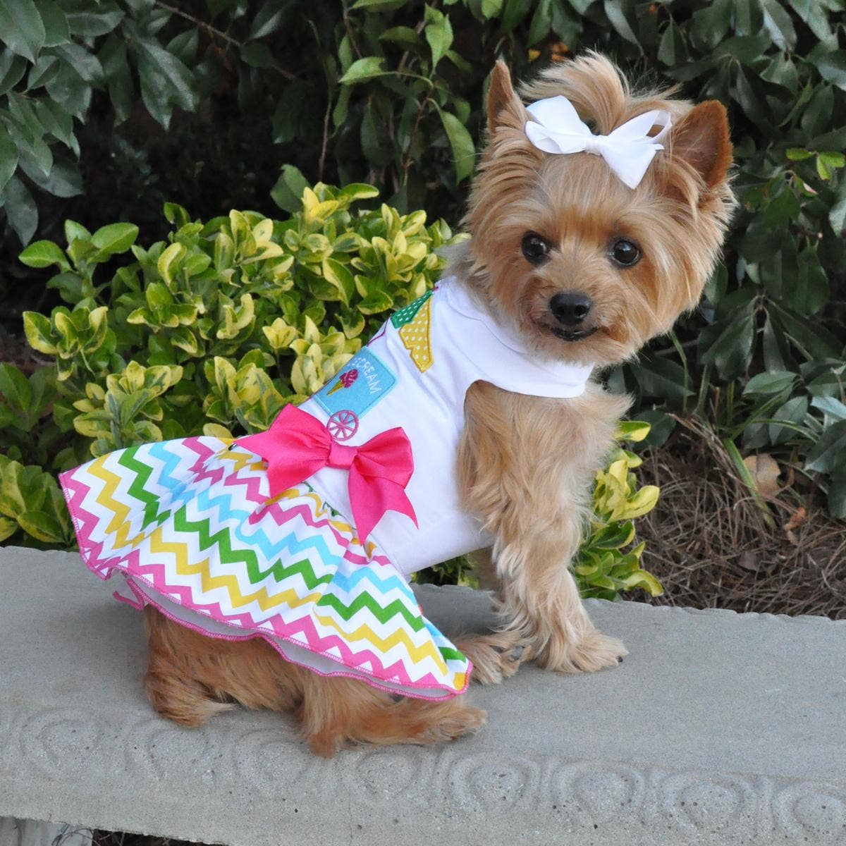 Ice Cream Cart Dog Dress w/ Matching Leash
