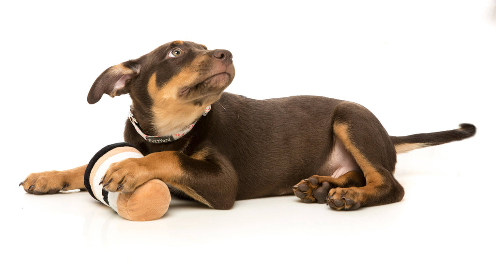 FuzzYard Dog Toy Puppuccino