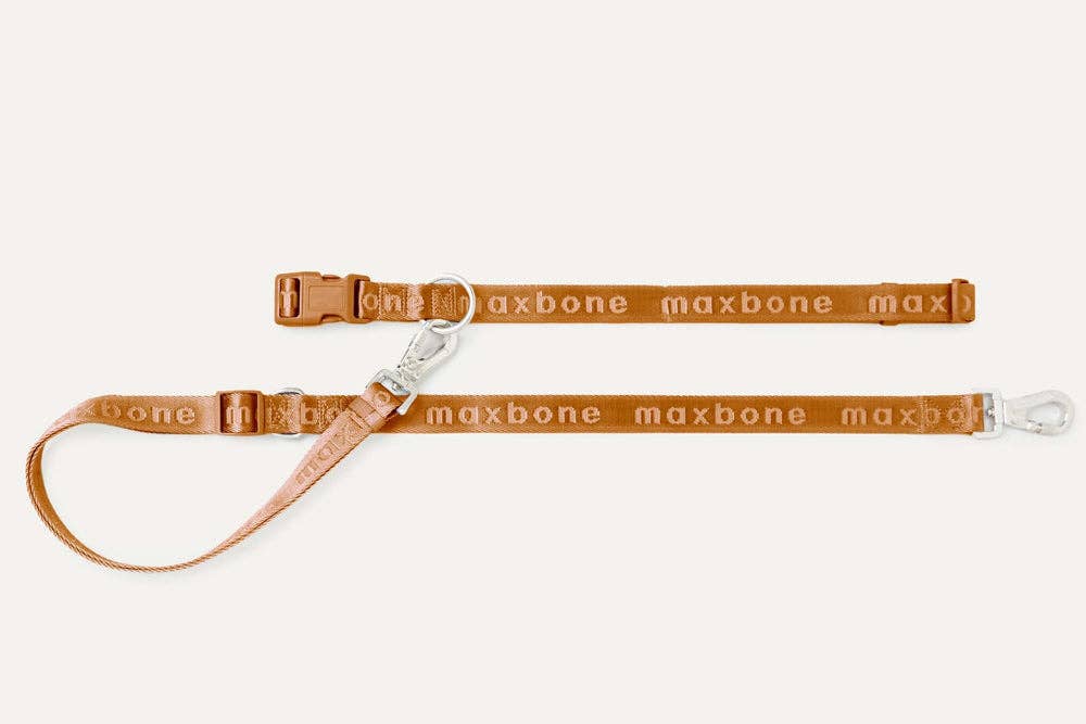 GO! With Ease Hands-Free Leash for Dogs