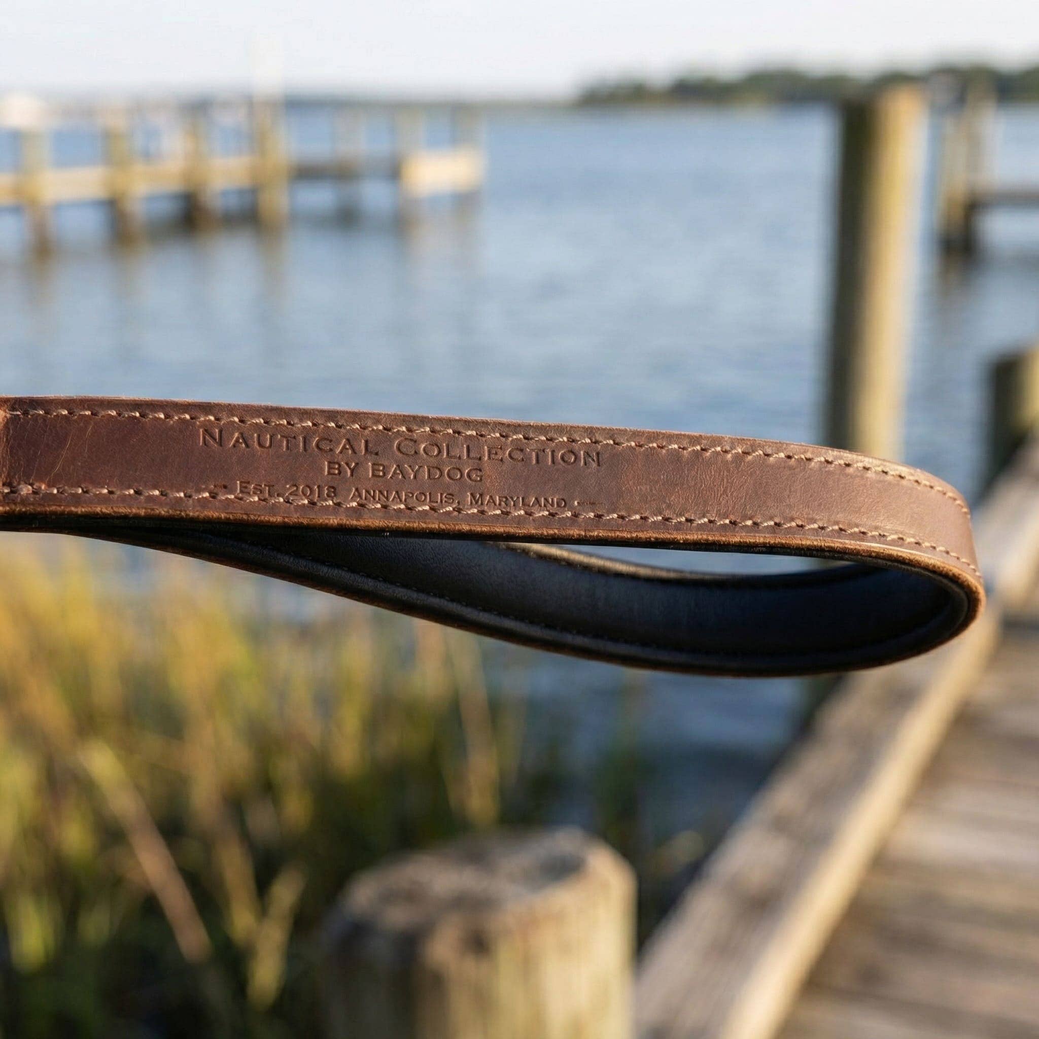 Seaside Dog Leash