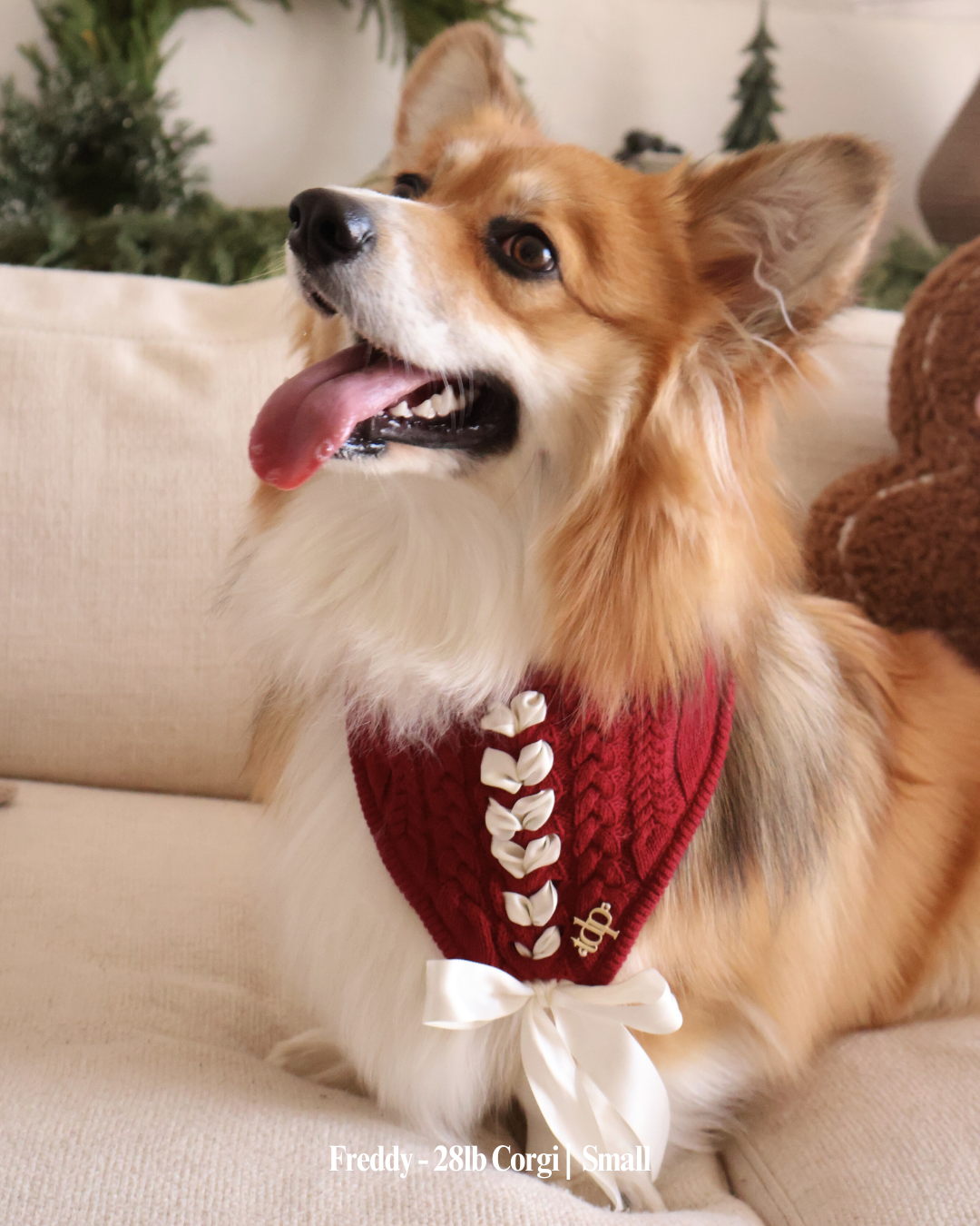 CHRISTMAS DOG BANDANA | HOLLY BOW