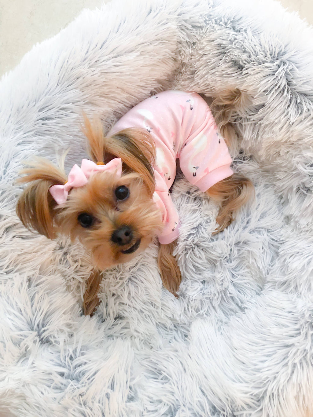 Pink Swan Pajama