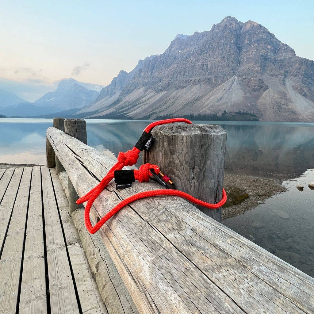 Fernie Rope Dog Leash