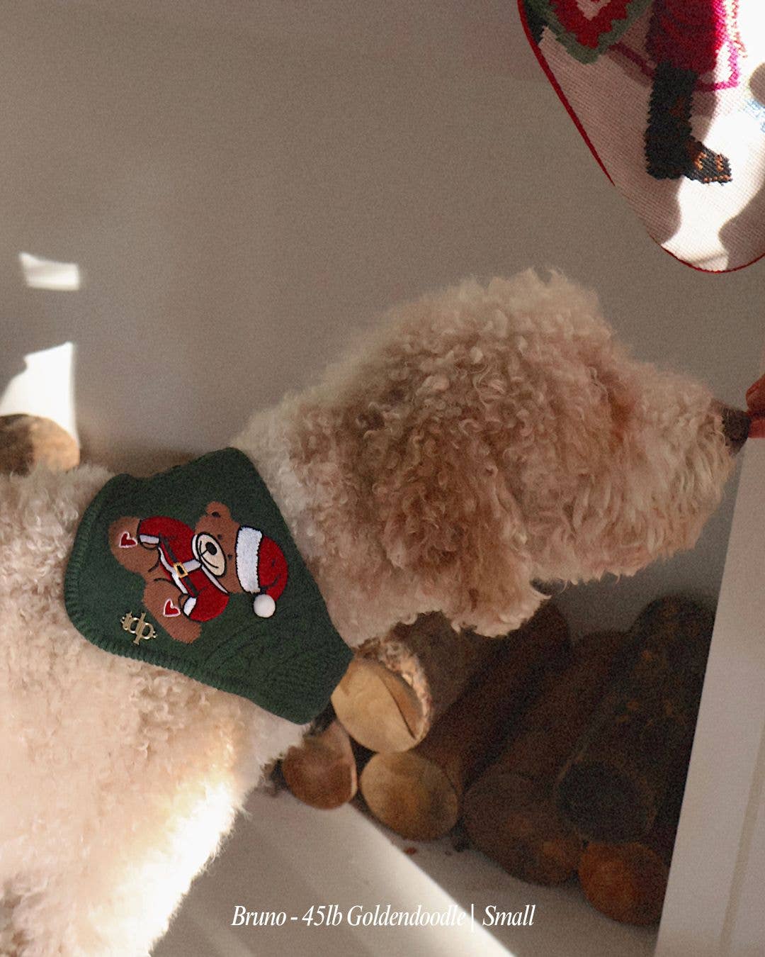 BANDANA | HOLIDAY TEDDY