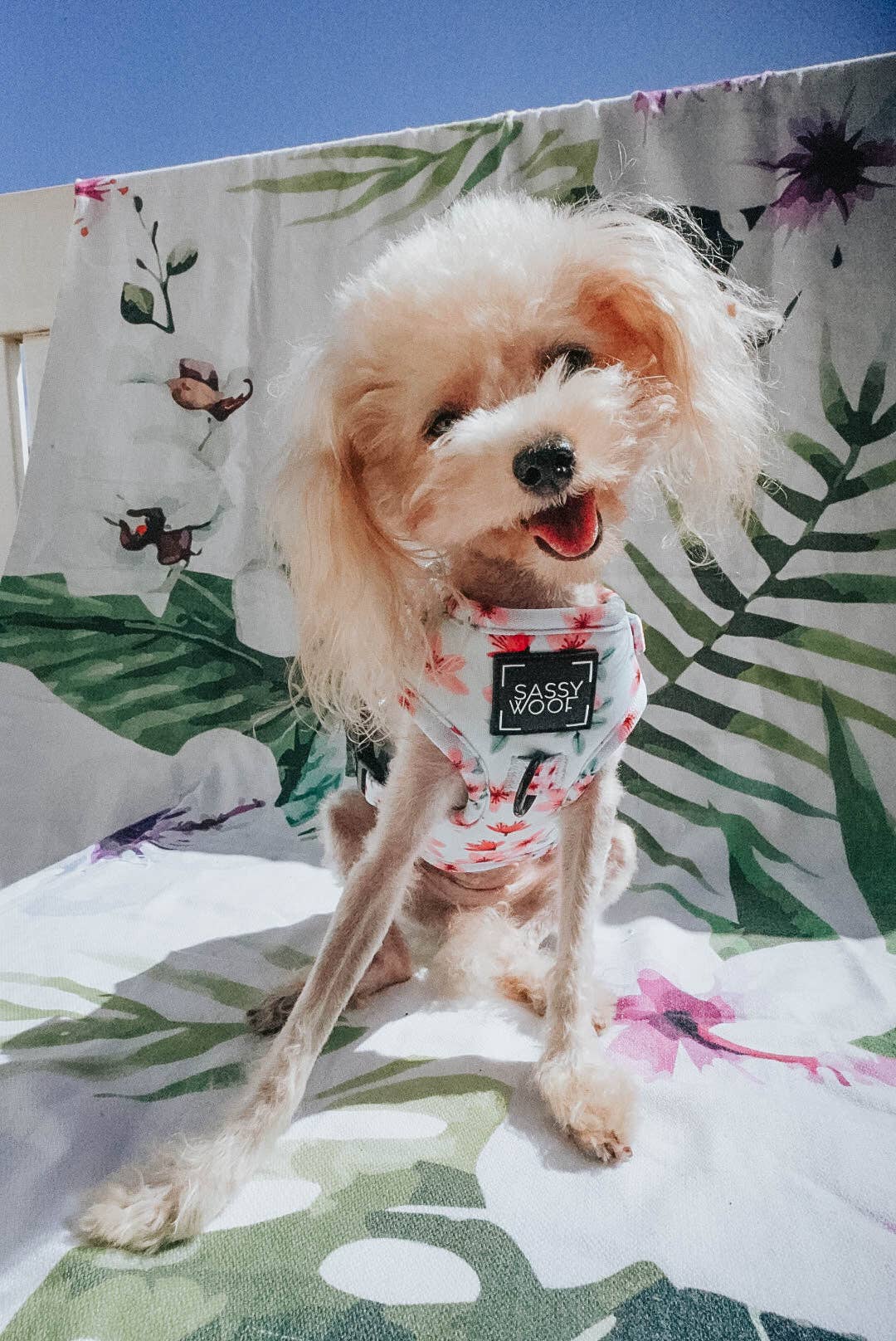 Dog Adjustable Harness - Sakura