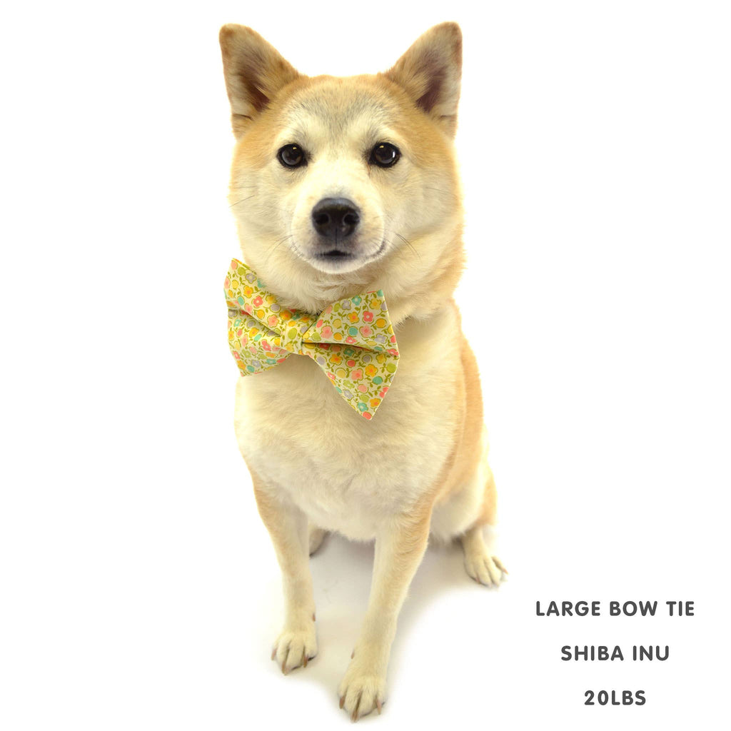 Anchor Dog Bow Tie