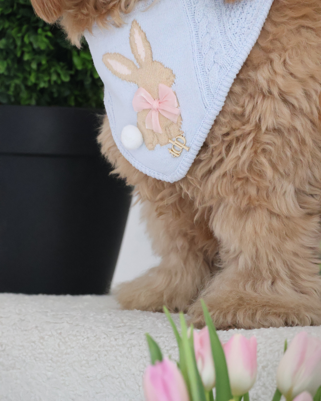 SPRING DOG BANDANA | MARLOWE