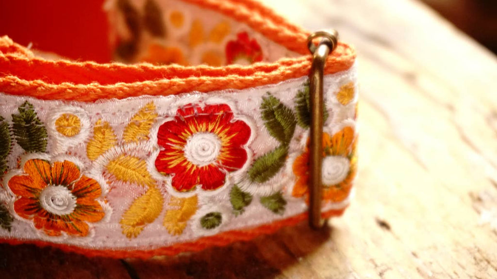 orange collar with floral design