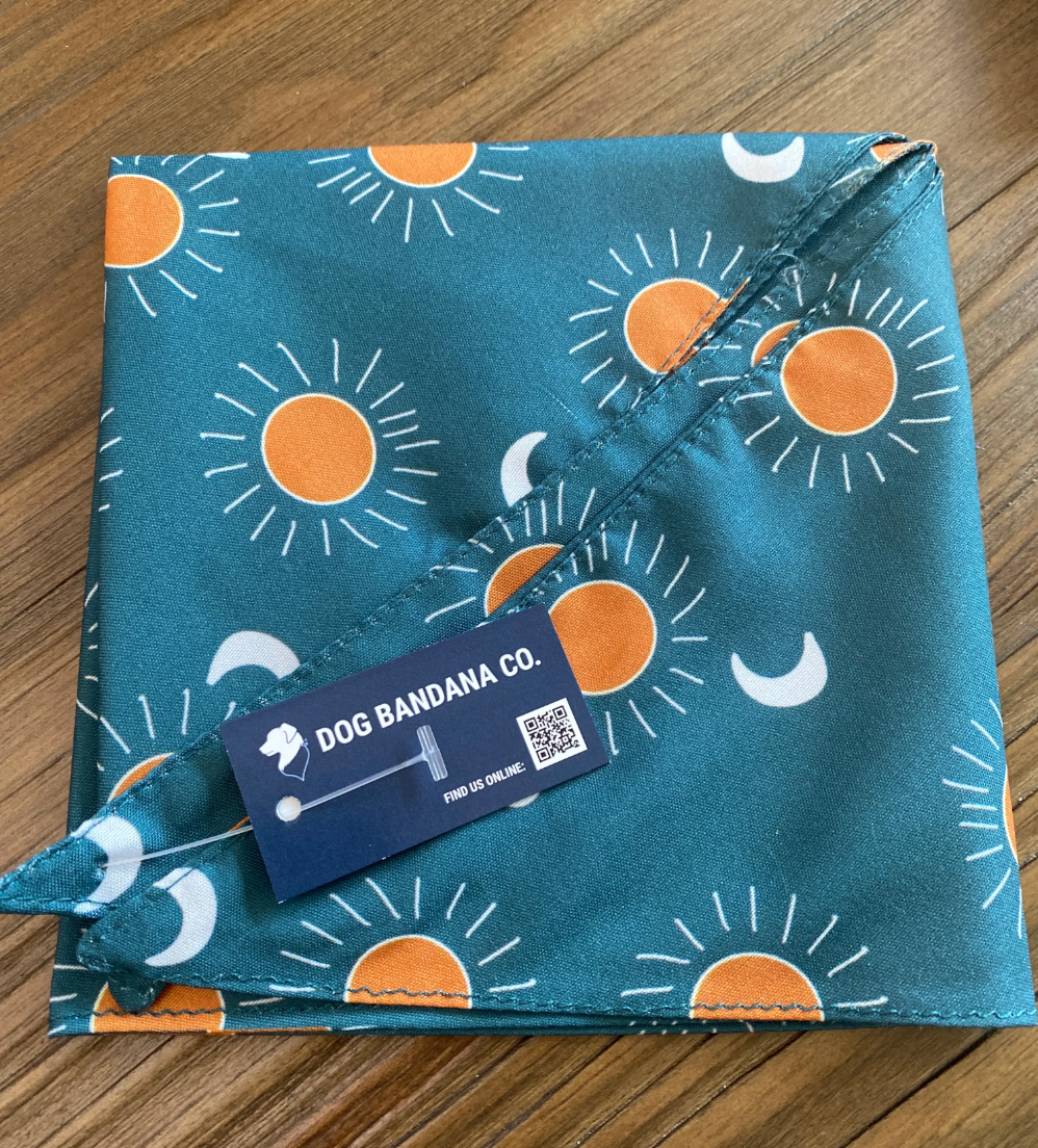 Summer Beach Double Sided Tie Snap Dog Bandana