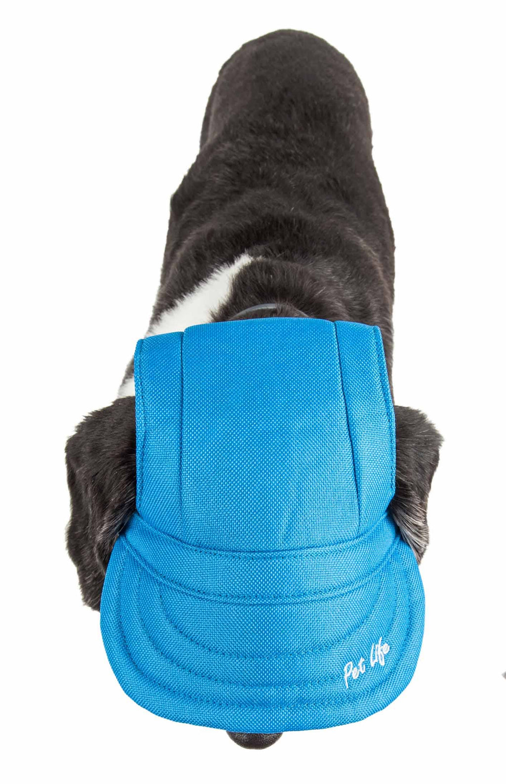 Black Dog Hat