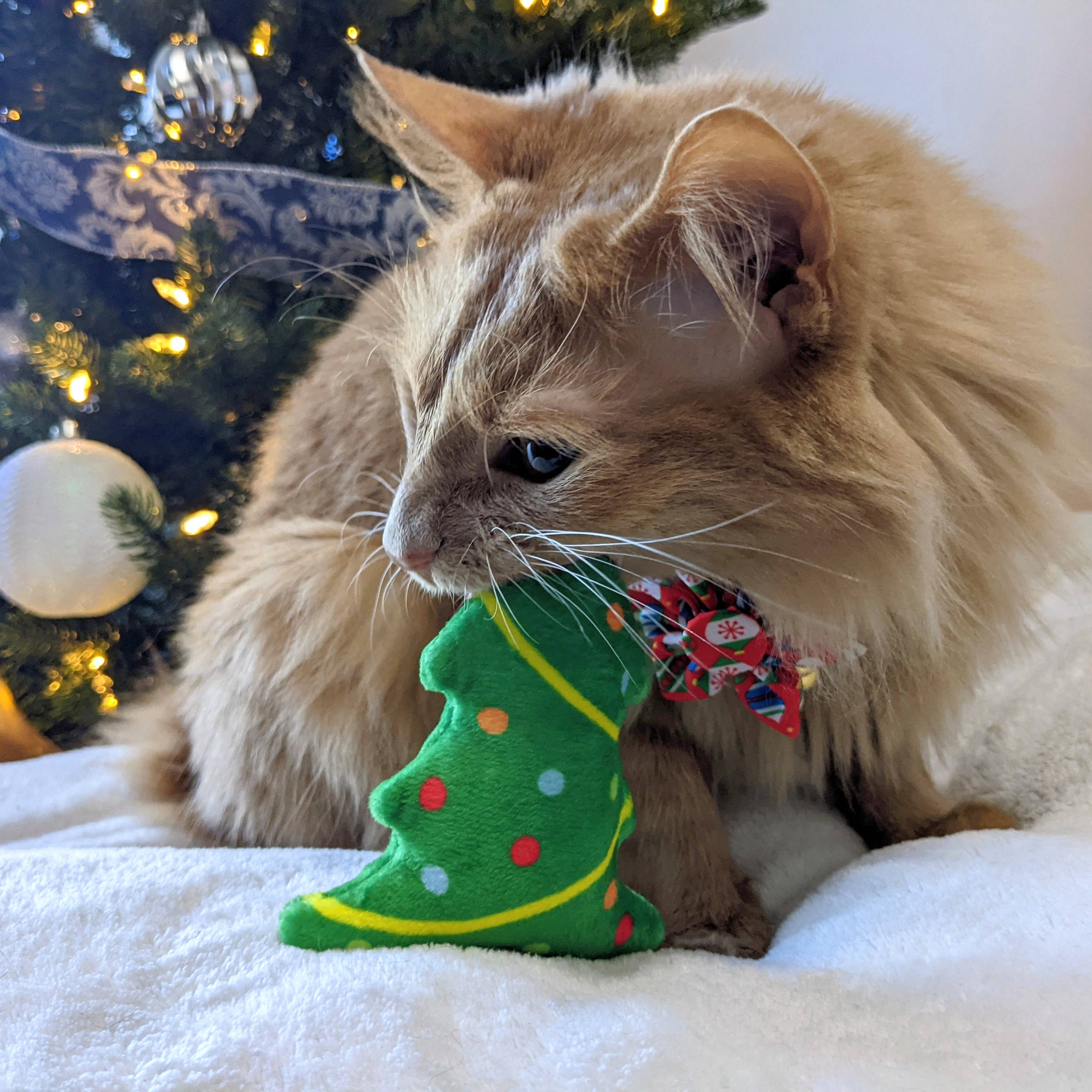 Up A Tree for Cats