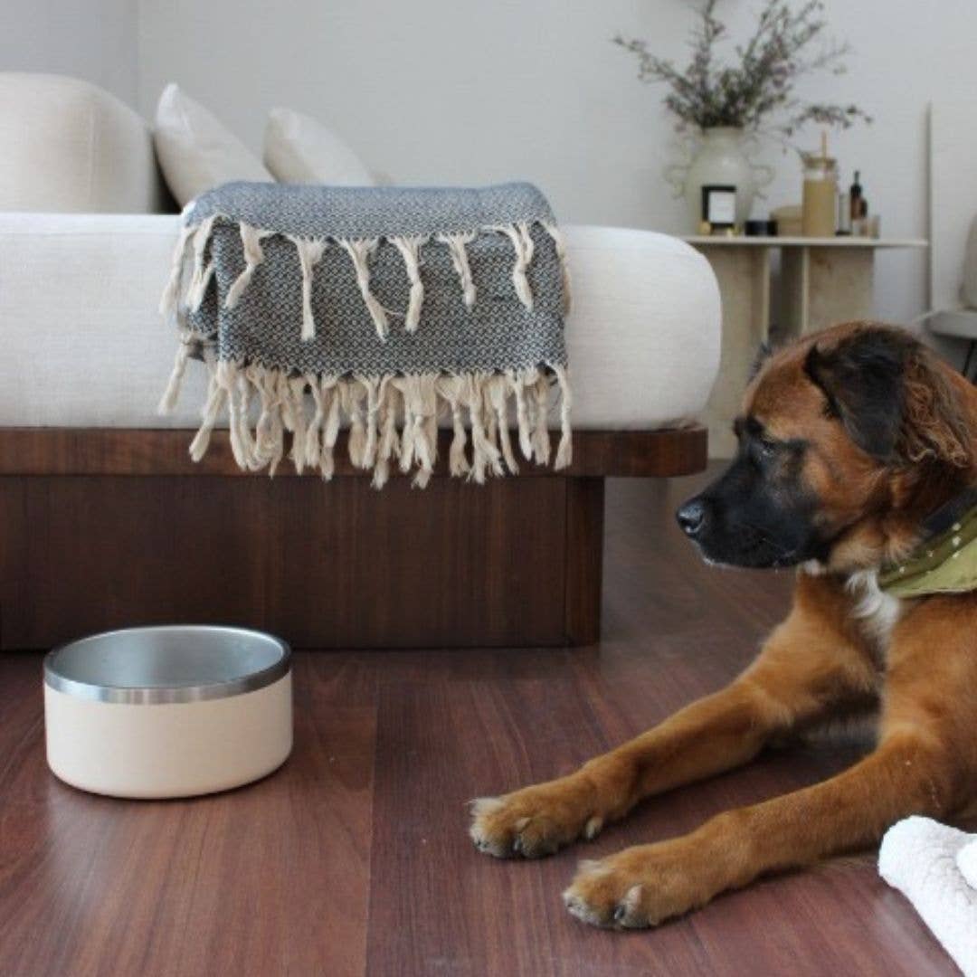 Stainless Steel Pet Food/Water Bowl - Dishwasher Safe