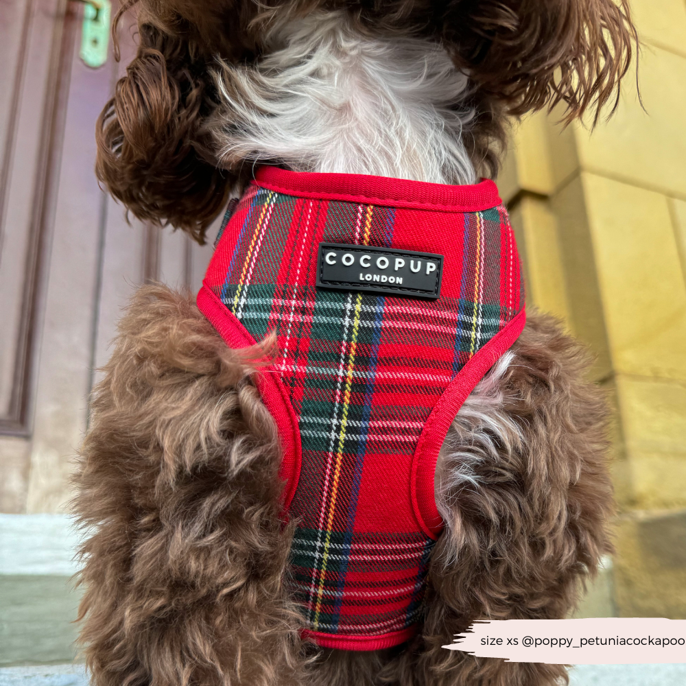 Tartan Adjustable Neck HARNESS
