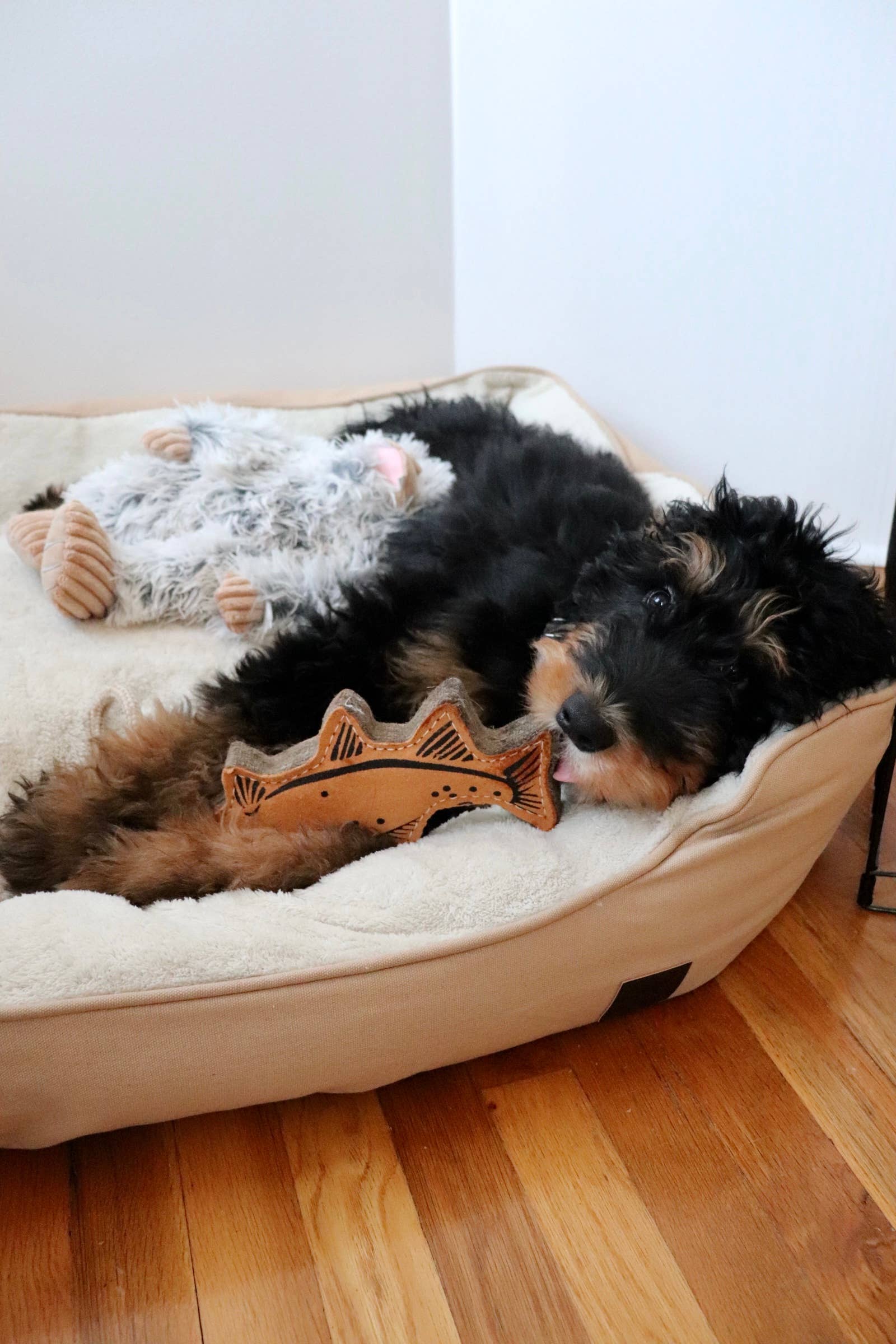 Tall Tails Natural Leather Trout Tug Dog Toy - 16"