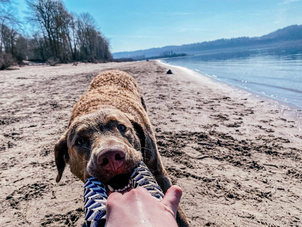 Tall Tails Braided Ring Toy, Navy - 6"