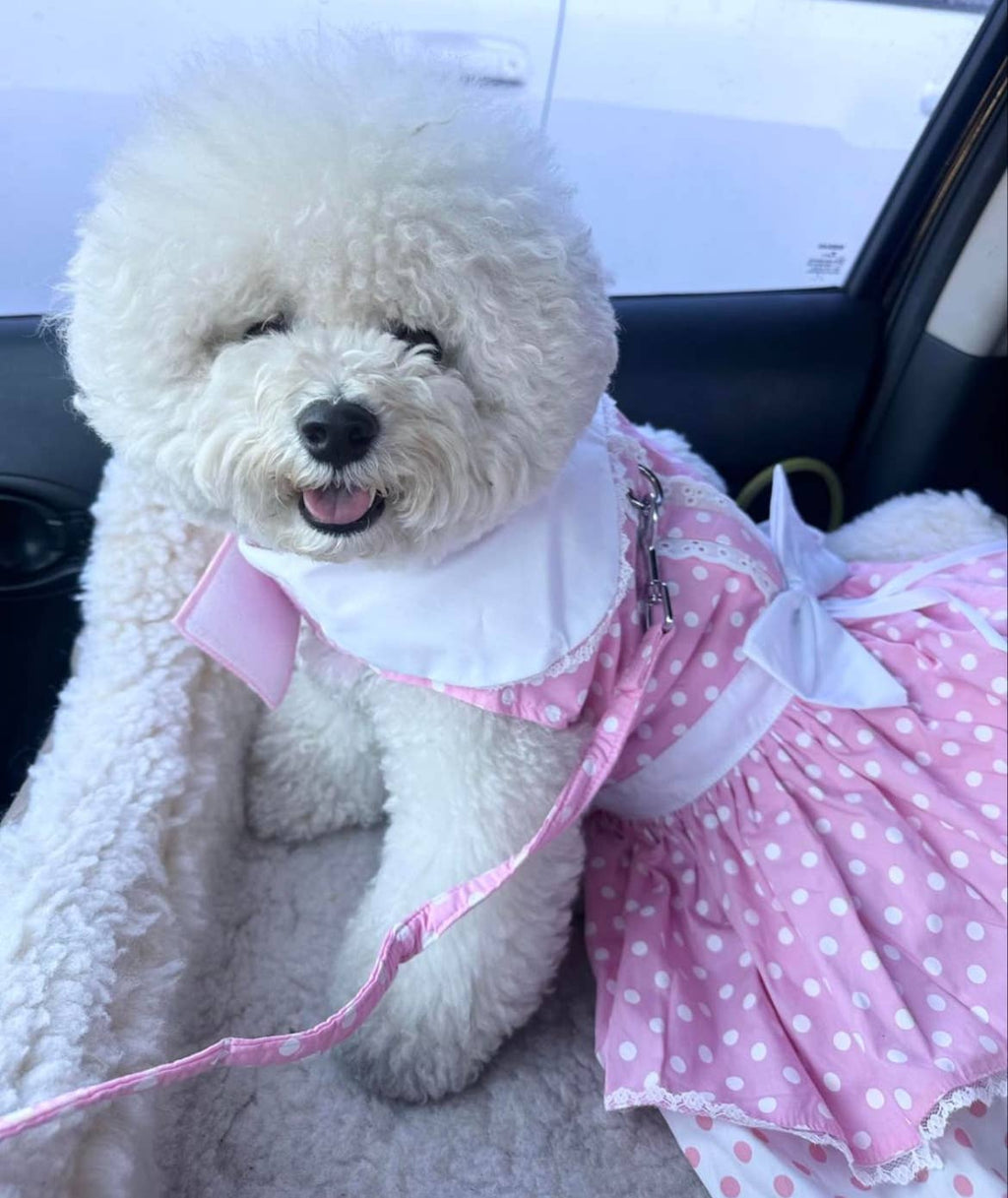 Polka Dot and Lace Dog Dress Set w/ Matching Leash - Pink