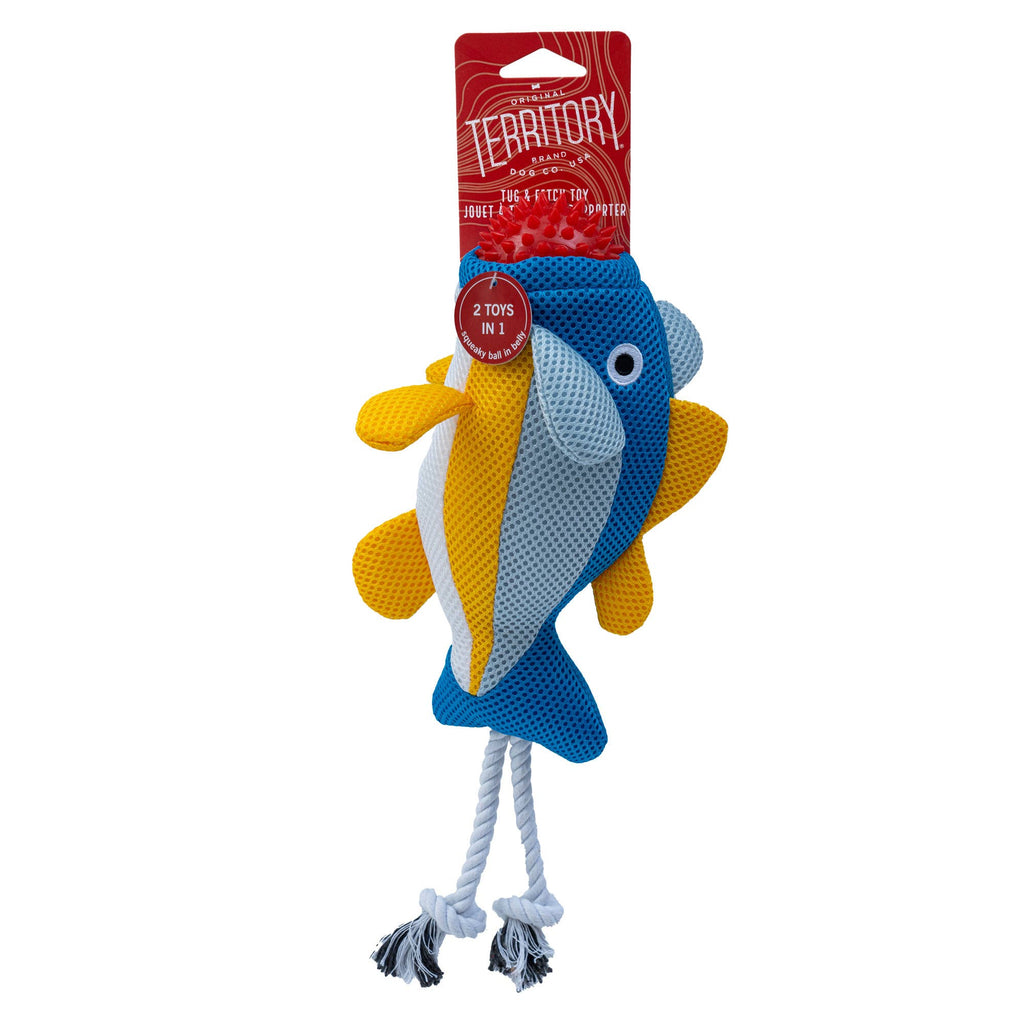 Territory Fish 2-in-1 Floating Dog Toy