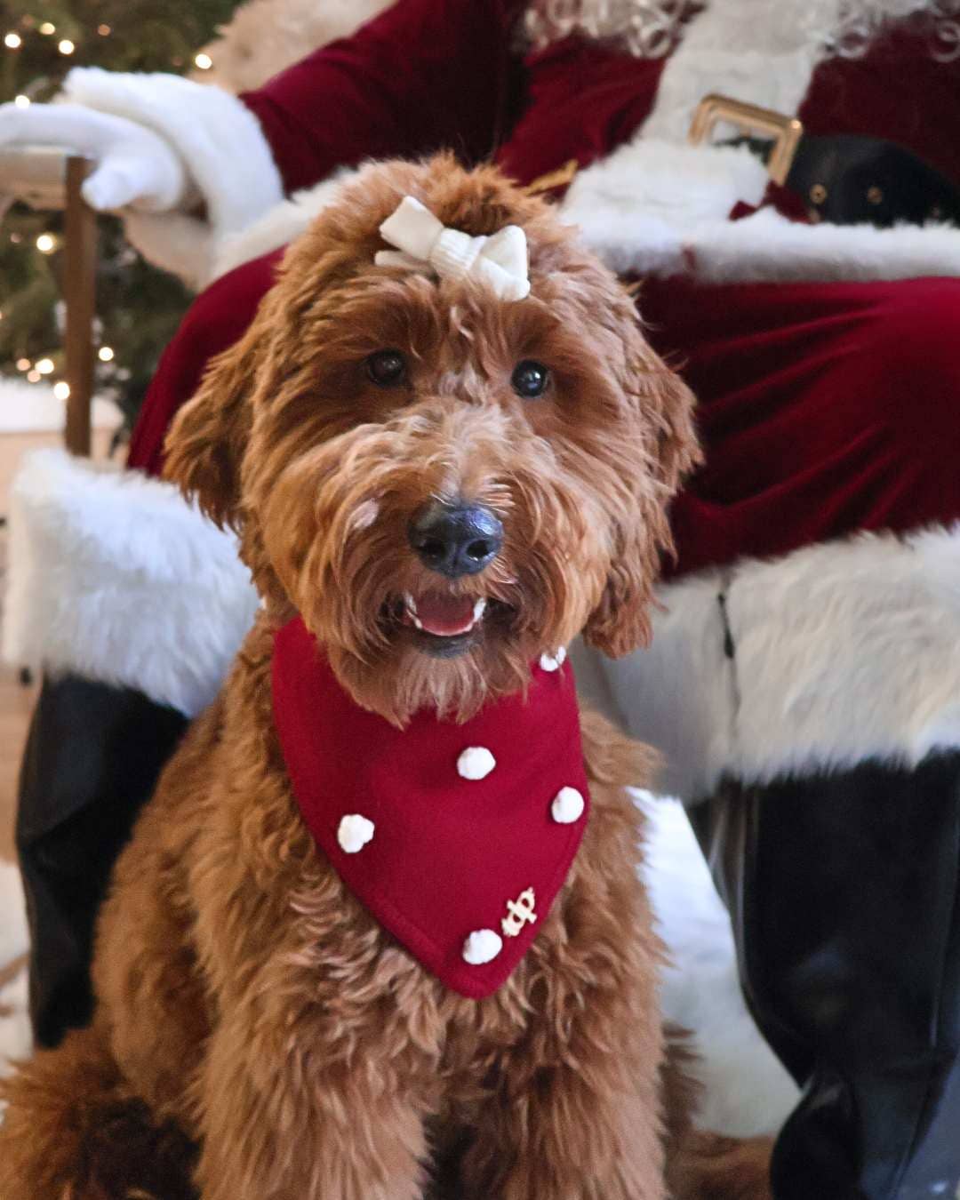 CHRISTMAS DOG BANDANA | HOLIDAY CHEER