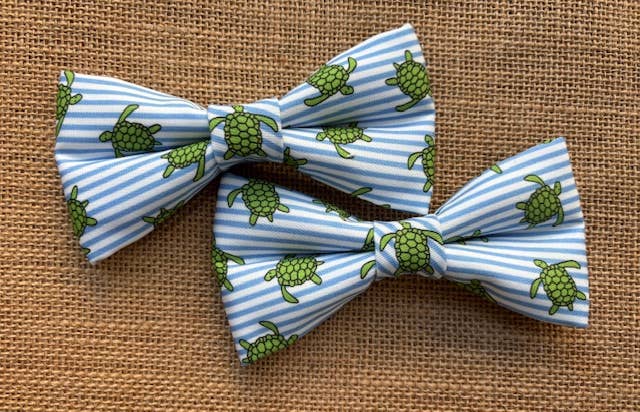 Turtles Blue & White Stripe Standard Size
