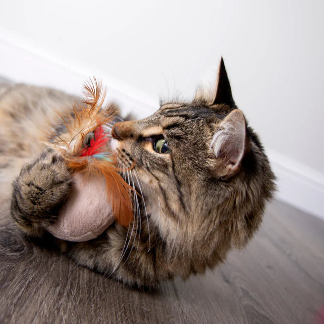 Chit Chatter Electronic Sound Feather Cat Toy