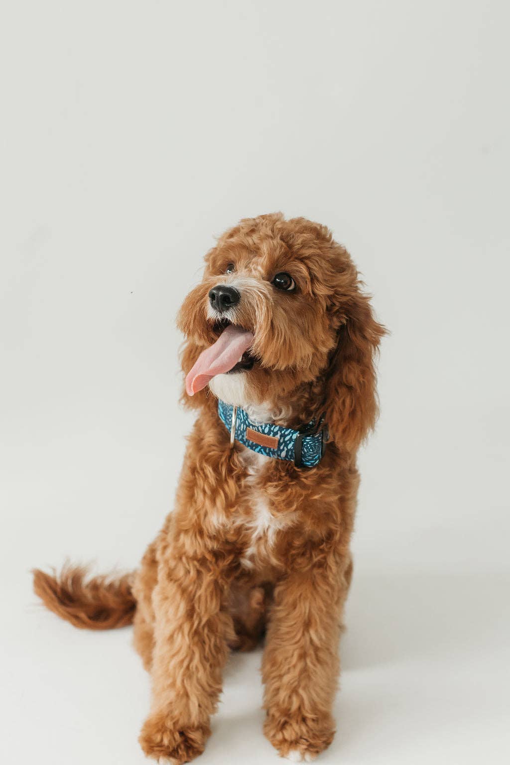 The Archie