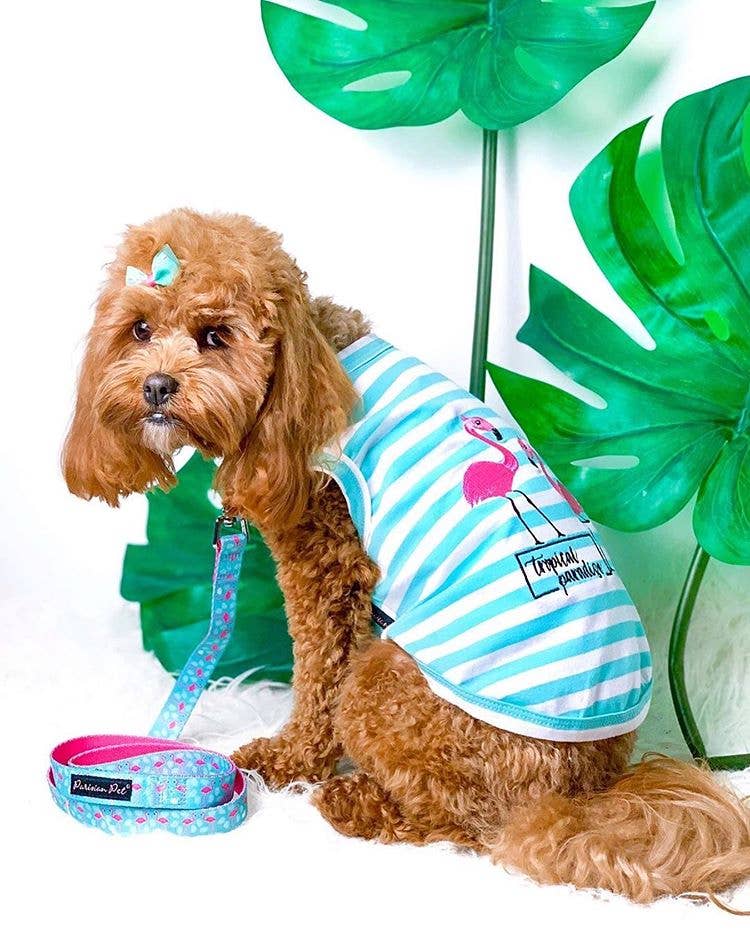 Flamingos Dog T-Shirt – Adorable Tropical Pet Shirt