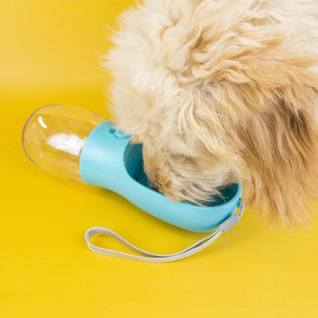 Pet Water Bottle