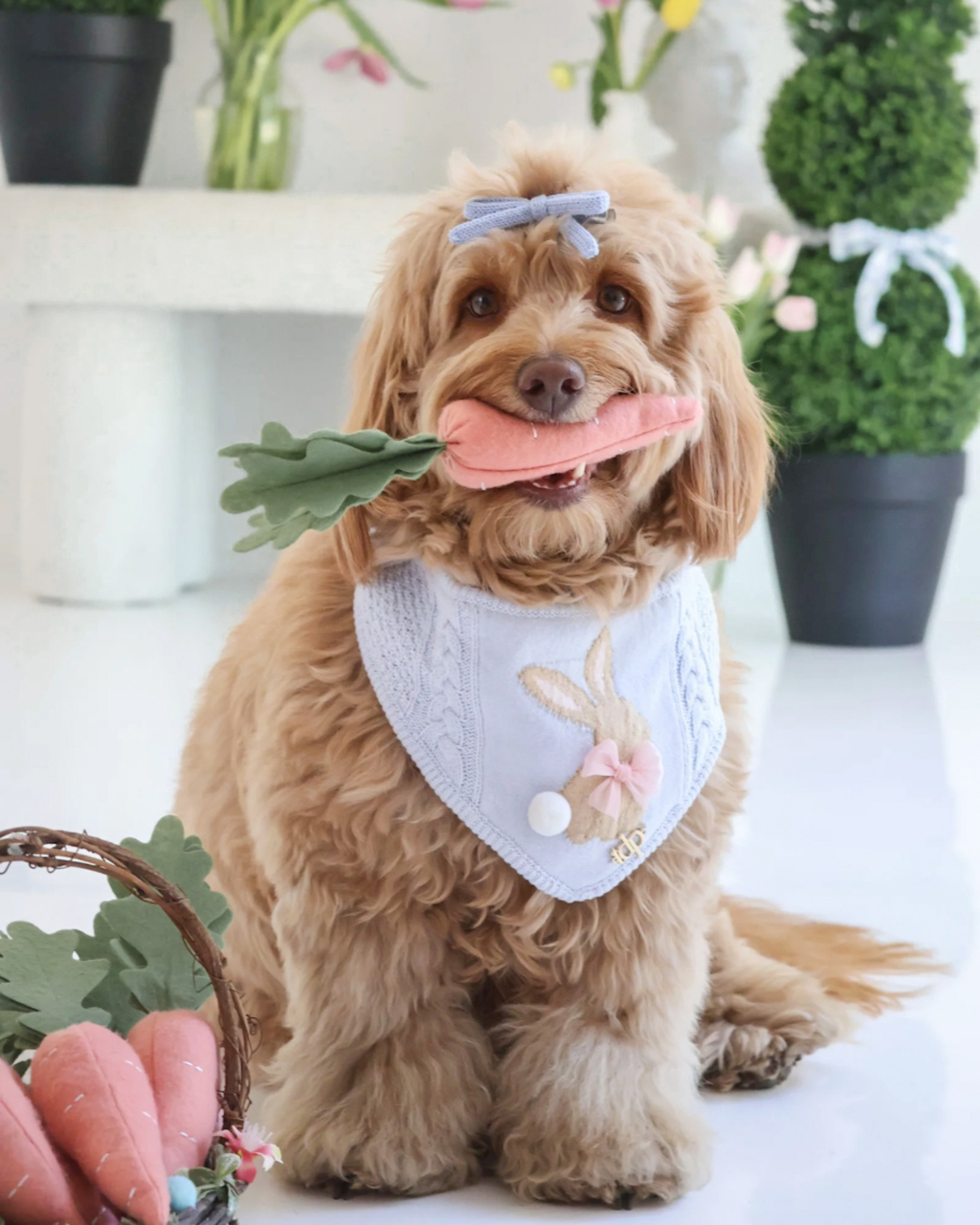 SPRING DOG BANDANA | MARLOWE