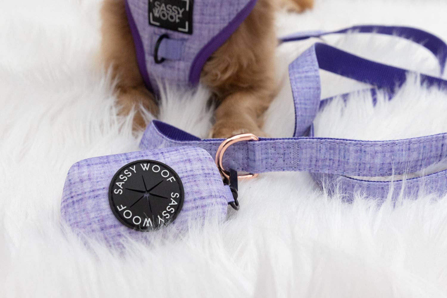 Dog Waste Bag Holder - Aurora