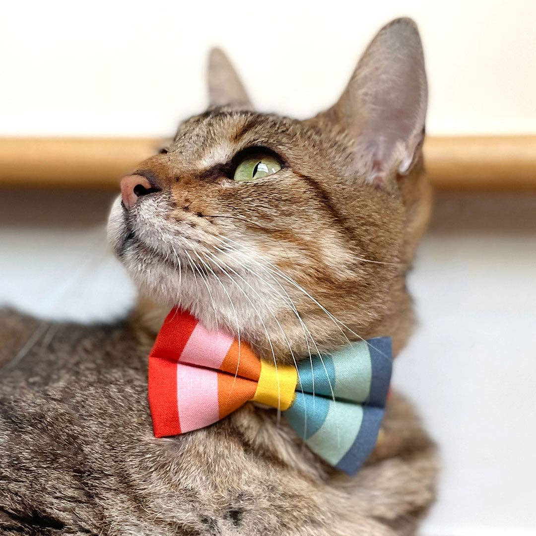 "Carousel" - Striped Rainbow Cat Collar