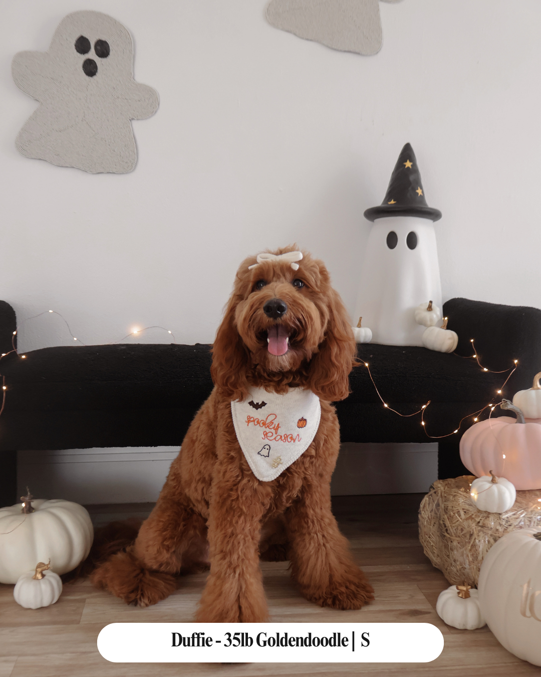 FALL DOG BANDANA | SPOOKY SEASON