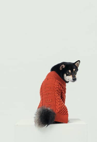 LAPEL CARDIGAN SWEATER