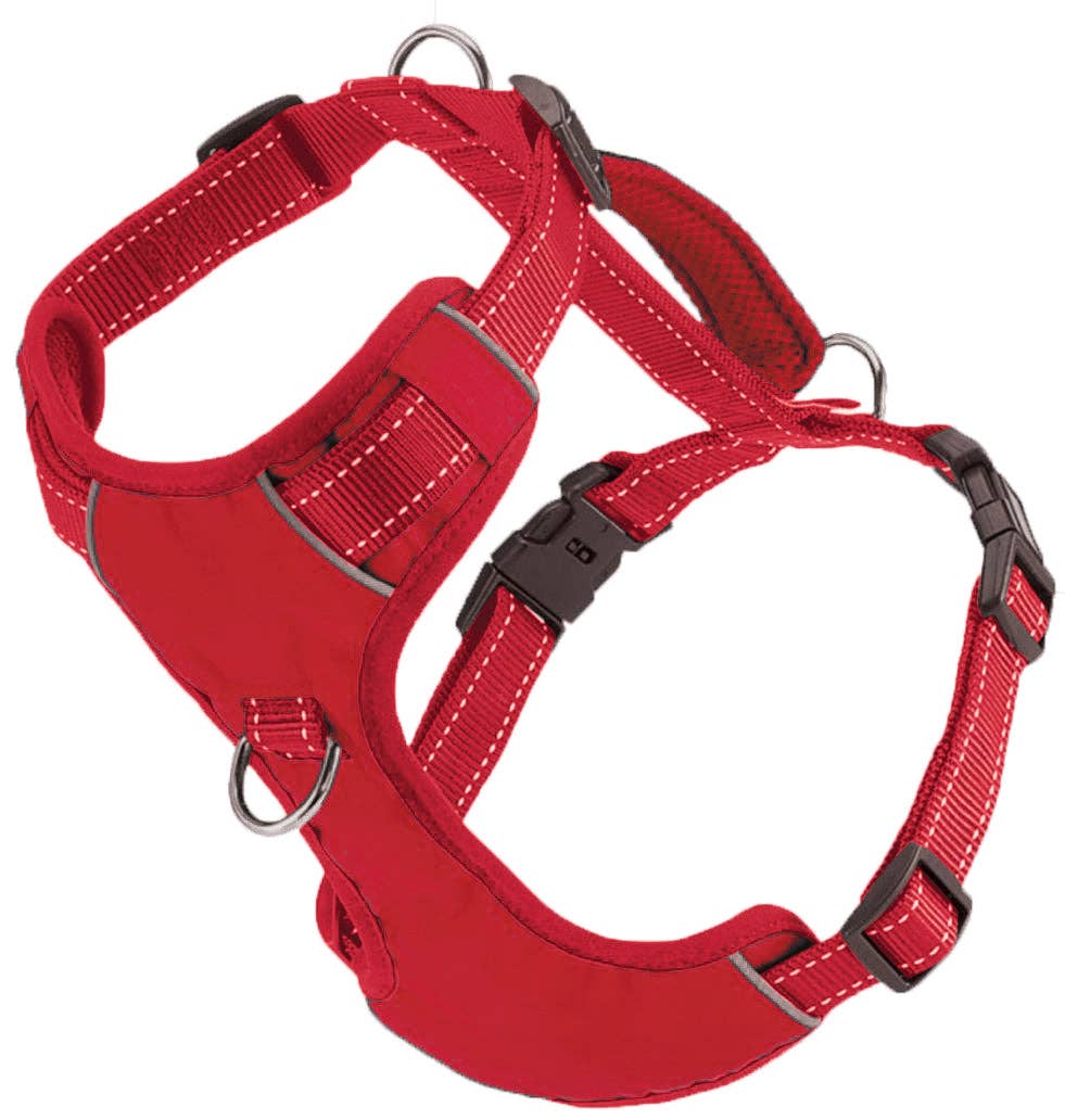 Chesapeake Bay Dog Harness