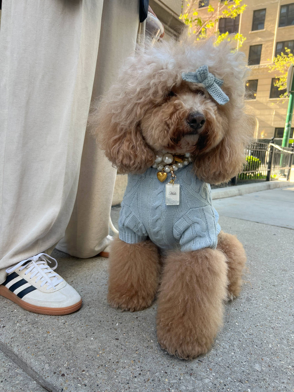 Cablette Blue Gigi Bow