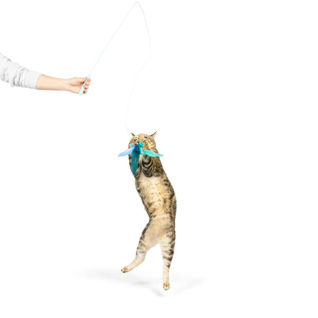 Teaser Kitty Loco Cat Wand