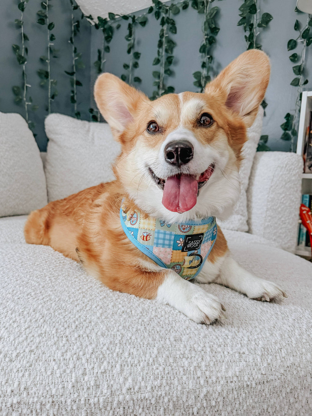 Dog Adjustable Harness - Patch Perfect