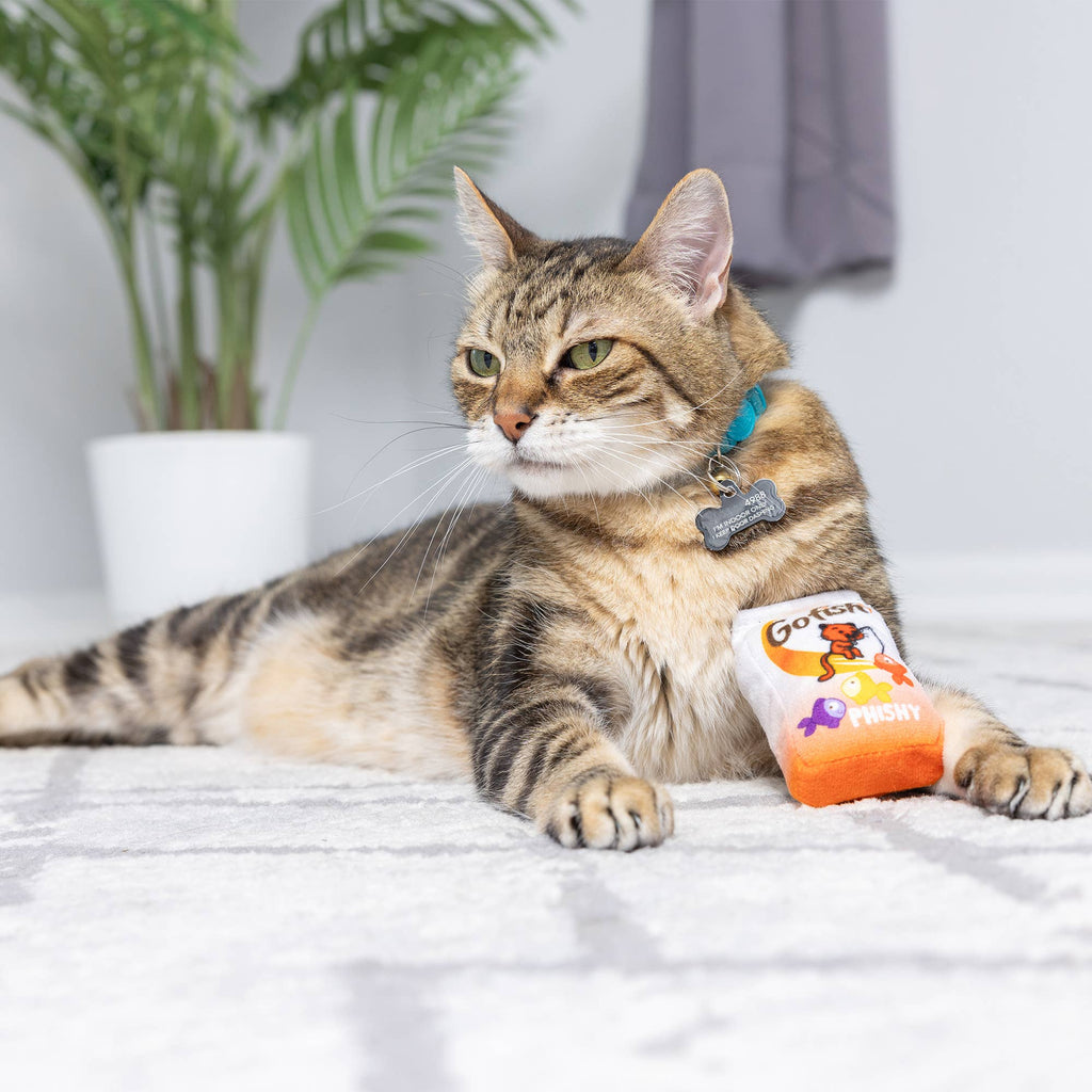 Go Fish Phishy For Cats
