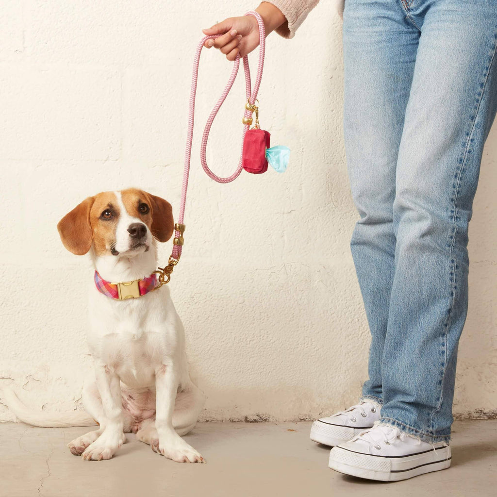 Hot Pink Valentine's Day Waxed Canvas Poop Bag Dispenser