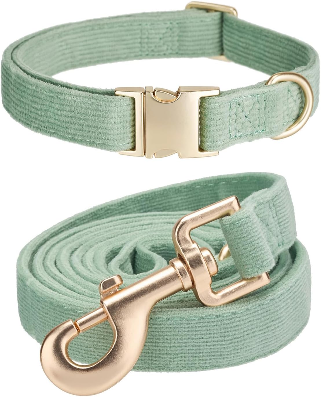 DogHaus Leash And Collar Set