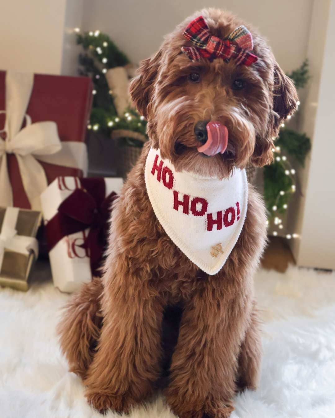 CHRISTMAS DOG BANDANA | HO HO HO