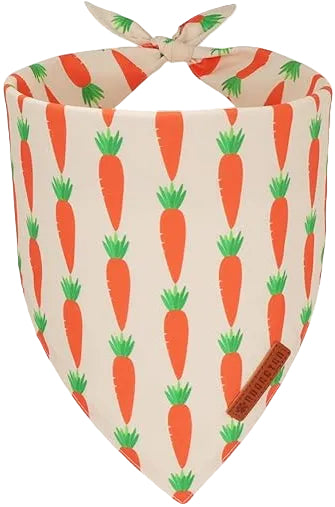 Triangle Carrot Bandana