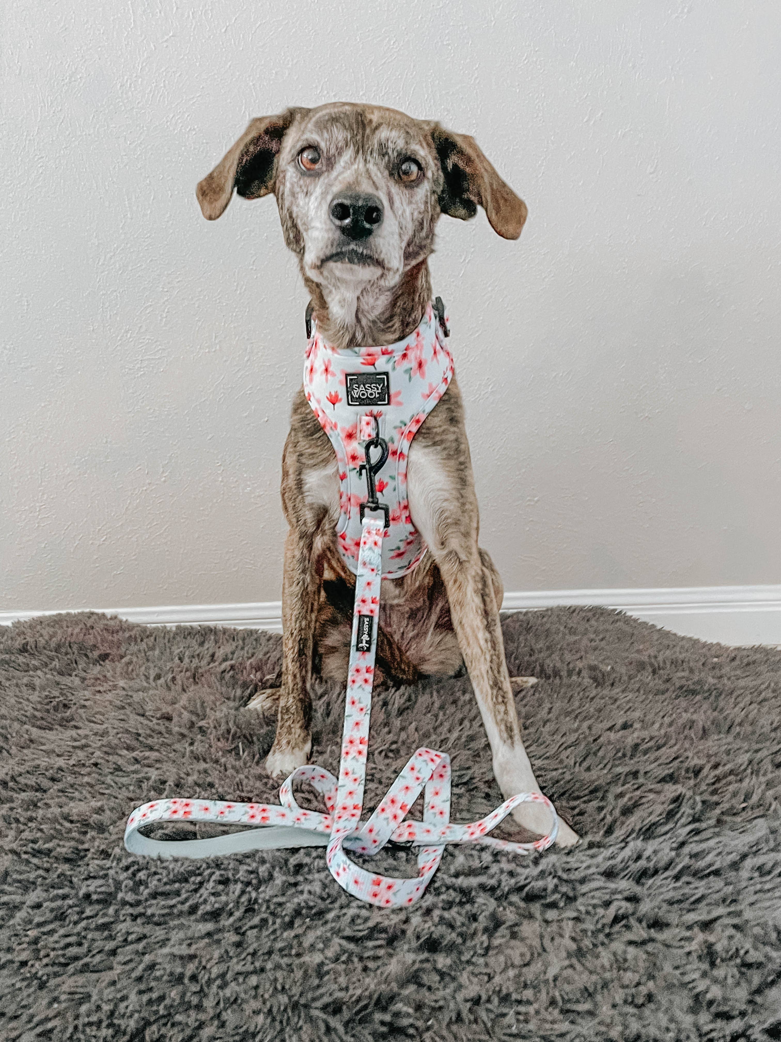 Dog Adjustable Harness - Sakura