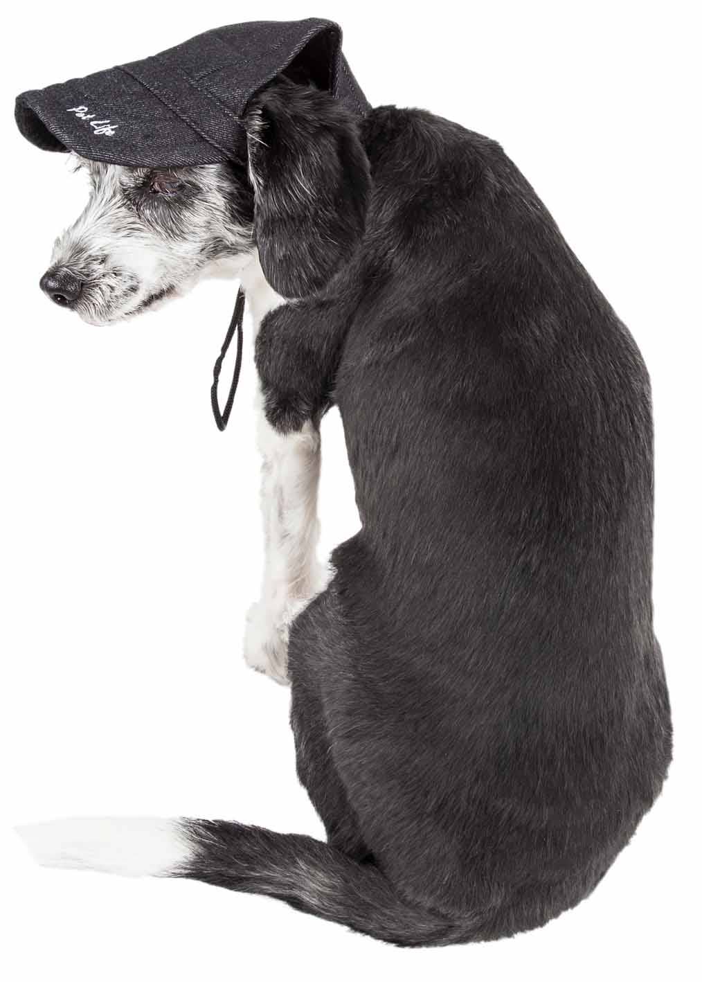 Black Dog Hat